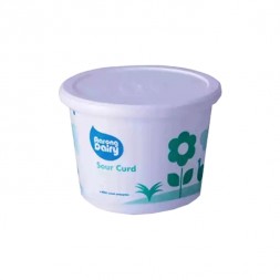 Aarong Dairy Sour Yogurt