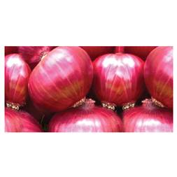Peyaj (onion Imported)