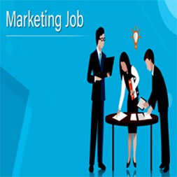 Recruitment for Marketing posts