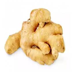 Ada (Imported Ginger)
