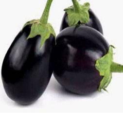 Baegun (  Round Eggplant)