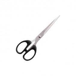 Deli Scissor 8 inch (6014)