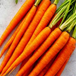 Gajor  (Imported Carrot)