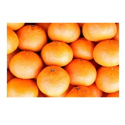 Komola (Orange) Imported