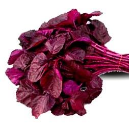 Lal Shak (Red Spinach )