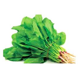 Mula Shak (Radish Spinach)