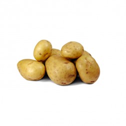Round Potato