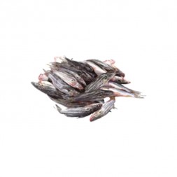 Tengra Fish Deshi